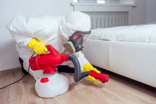 Professional Pest control in Ridgewood, NJ